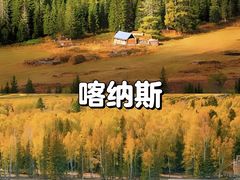 -婺源风景区