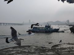 -星海广场