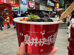 -黑色经典臭豆腐·湖南特产(潇湘文化店)