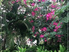 -白沙门生态公园