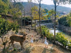 -东海半边山旅游度假区