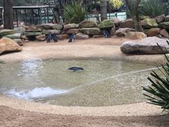 -费瑟代尔野生动物园