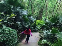 -重庆彩云湖湿地公园