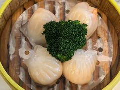 -广东大排档(国奥店)