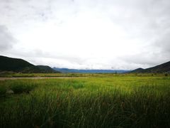 -泸沽湖国家级风景名胜区走婚桥