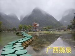 -靖西鹅泉风景区