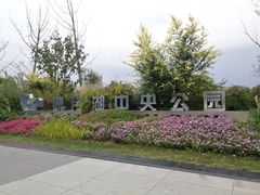 -映月湖中央公园