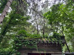 -潭柘寺景区
