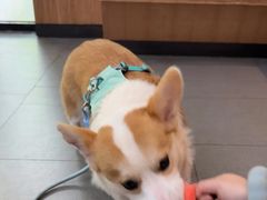 -联合动物医院(光谷诊疗中心)