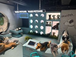 -MINI MARS KIDS CLUB亲子家庭中心(长宁天山店)