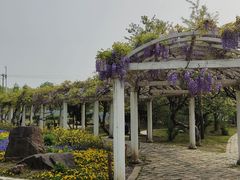 -苏州上方山国家森林公园