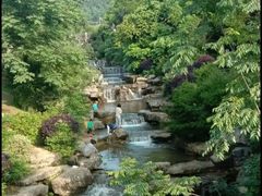 -桃花岭景区