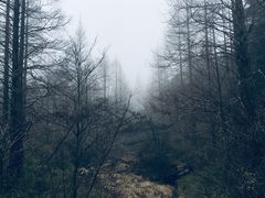 -含鄱口