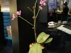 -凤凰湘语·湘粤鲜融(浦东旗舰店)