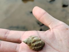 -笑掌室相声社(西安路五声剧场)