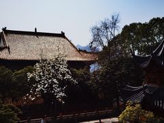 -宝通禅寺