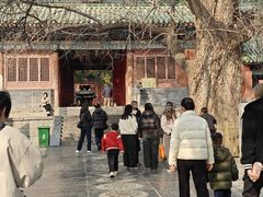 -少林寺欢喜地素斋馆