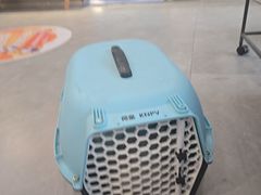 -伟伟宠物医院·CT影像中心·瑞派犬猫综合性门诊(汉口总院)