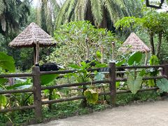 -海南热带野生动植物园