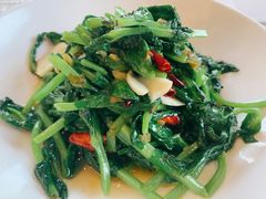 清炒豌豆尖-云腾食府·云南菜