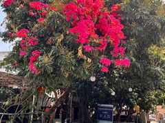 -光明刘冰乳鸽店(光明法政北路店)