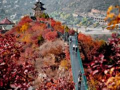 -狼牙山风景区