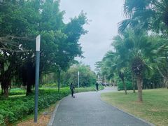-深圳湾公园(南山区)