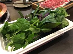 山茅野菜组合-滇釜火锅·能喝汤的火锅(车公庄店)