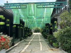 -东台西溪天仙缘景区