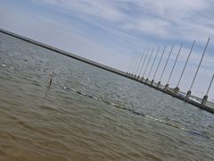 -碧海金沙