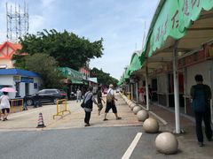 -大湾区中央湿地公园-十九涌