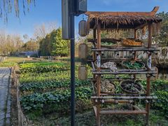 -溱湖国家湿地公园