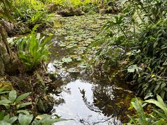 -中国科学院西双版纳热带植物园