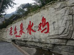 -老幺泉水鸡