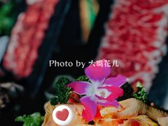 农家小崽鸡-滇釜火锅·能喝汤的火锅(车公庄店)