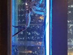 -蟹后Crabber(水悦城店)
