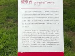 -大望京公园