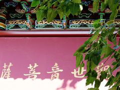 -南普陀寺