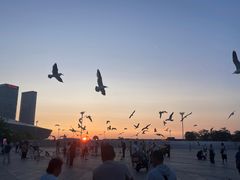 -东港音乐喷泉广场