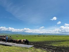 -新疆那拉提国家旅游度假区