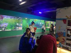 -常州海昌海洋探索馆