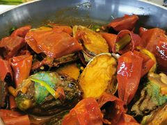 -开海·红岛海鲜虾水饺(石老人店)