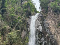-姑婆山旅游区