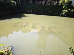 -杭州黄龙洞