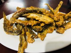 -中原农家乐(中原饭店)