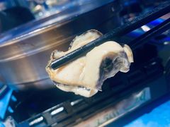 深海黄金蚝大个火锅-千岛蚝高压锅生蚝·人参火锅(白云万达店)