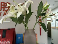 -土豆口腔(凤凰北总店)