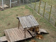 -青藏高原野生动物园