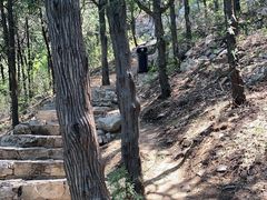 -佛慧山