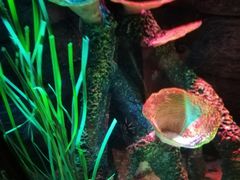 -沈阳海洋探索中心